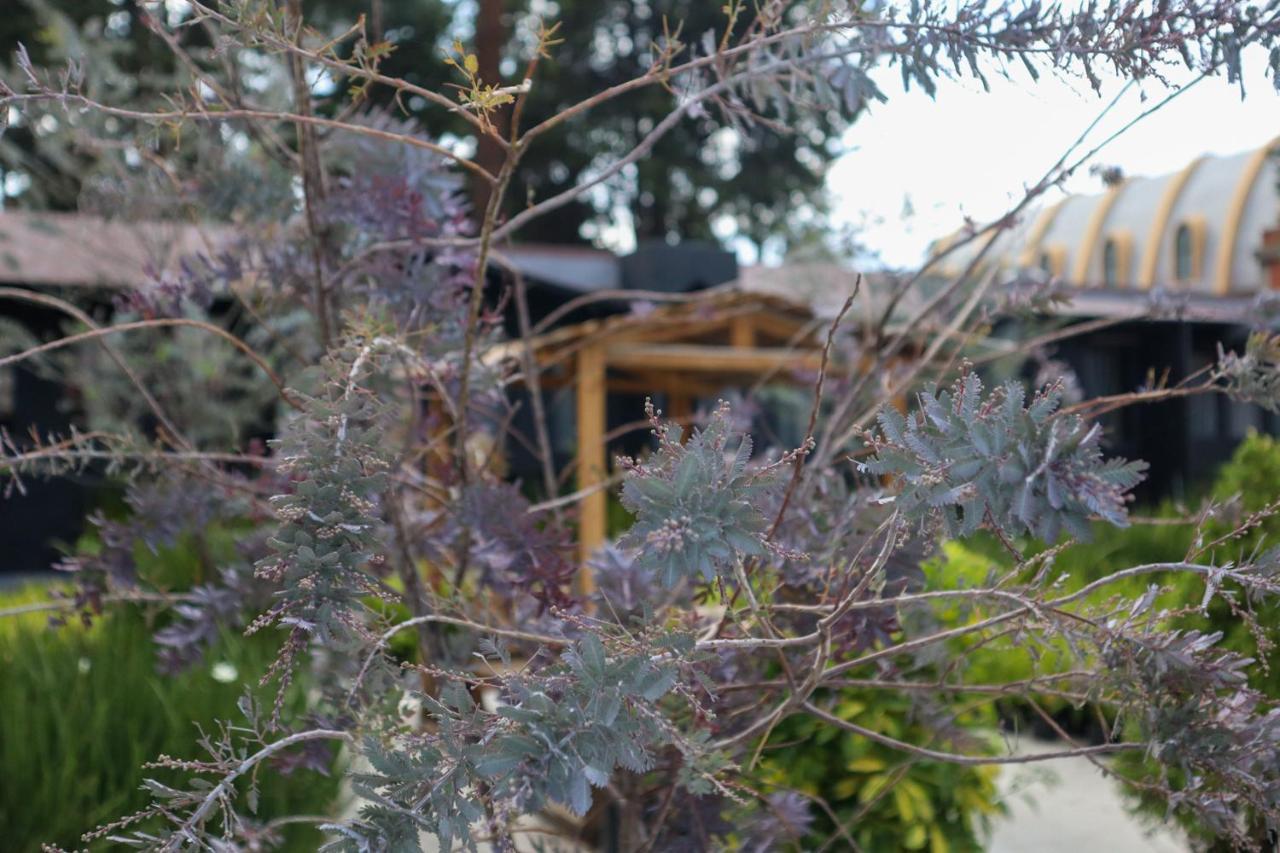 Utopia Hotel Boutique メキシコシティ エクステリア 写真