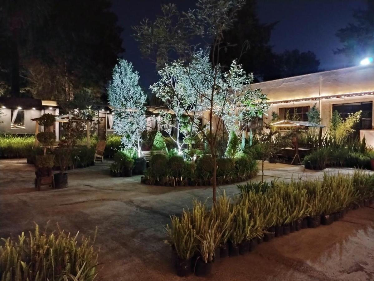 Utopia Hotel Boutique メキシコシティ エクステリア 写真